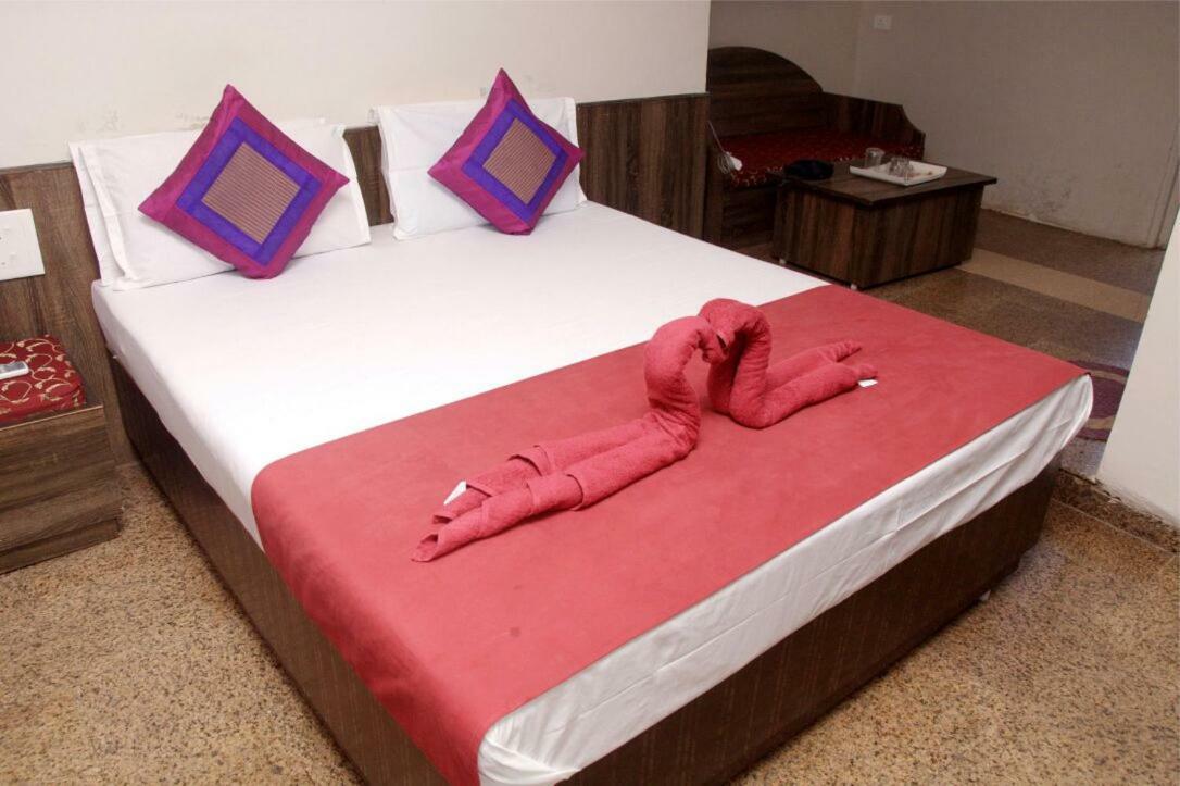 Viva Guest House 帕纳吉 外观 照片